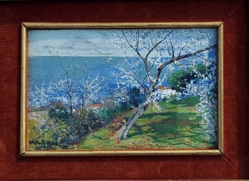  164-Alberi fioriti 